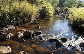 Whispering Waters
