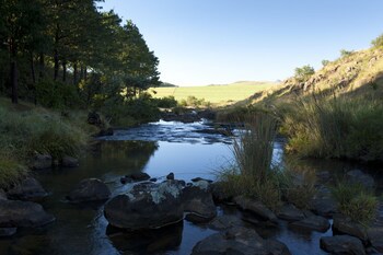 Whispering Waters