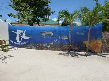 Little Mermaid Dive Resort