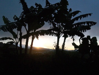 Casa Amanecer Bed & Breakfast