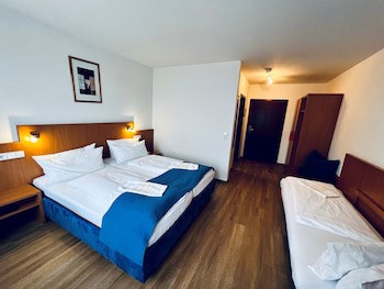 Hotel & Restaurant Goldener Pflug galeri fotoğrafı