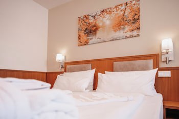 Hotel & Restaurant Goldener Pflug fotoğrafı