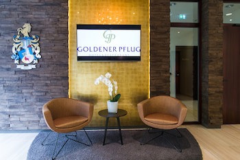 Hotel & Restaurant Goldener Pflug fotoğrafı