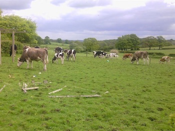 Beoley Lodge