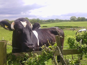 Beoley Lodge