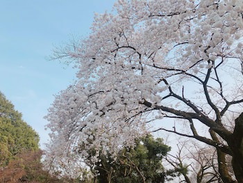 Apa Hotel Shinjuku Gyoemmae