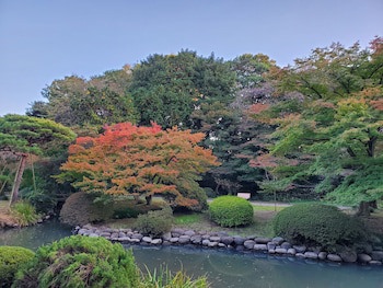 Apa Hotel Shinjuku Gyoemmae