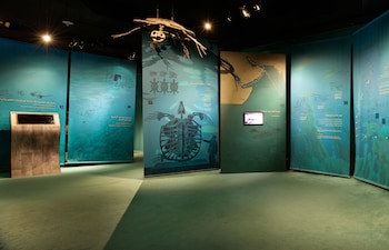 Ras Al Jinz Turtle Reserve
