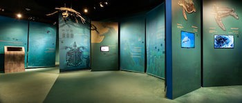 Ras Al Jinz Turtle Reserve