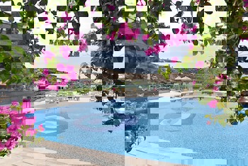 Royal Palm Residence