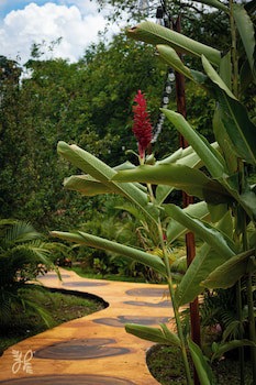 Hotel Heliconias Nature Inn & Hot Springs