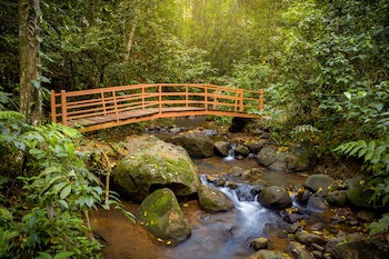 Hotel Heliconias Nature Inn & Hot Springs