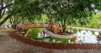Hotel Heliconias Nature Inn & Hot Springs
