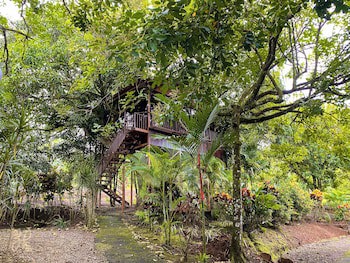 Hotel Heliconias Nature Inn & Hot Springs