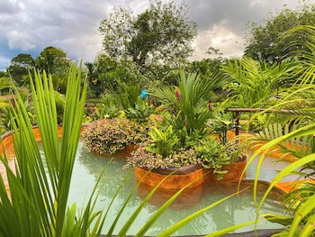 Hotel Heliconias Nature Inn & Hot Springs
