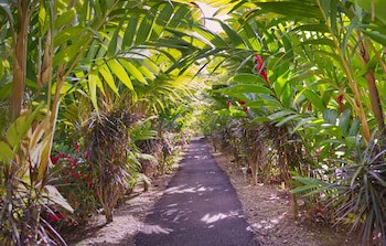 Hotel Heliconias Nature Inn & Hot Springs