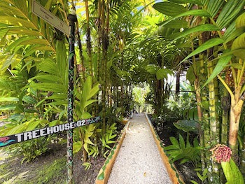 Hotel Heliconias Nature Inn & Hot Springs