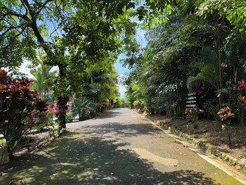 Hotel Heliconias Nature Inn & Hot Springs