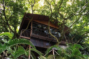 Hotel Heliconias Nature Inn & Hot Springs
