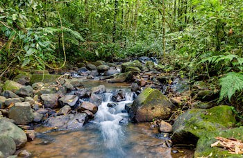 Hotel Heliconias Nature Inn & Hot Springs