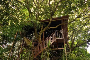 Hotel Heliconias Nature Inn & Hot Springs