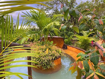 Hotel Heliconias Nature Inn & Hot Springs