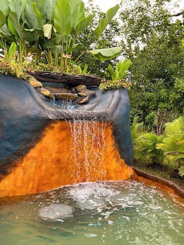Hotel Heliconias Nature Inn & Hot Springs