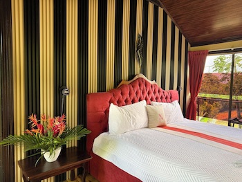 Hotel Heliconias Nature Inn & Hot Springs