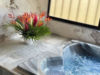 Hotel Heliconias Nature Inn & Hot Springs