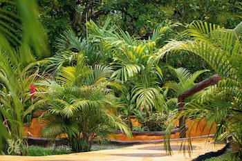 Hotel Heliconias Nature Inn & Hot Springs