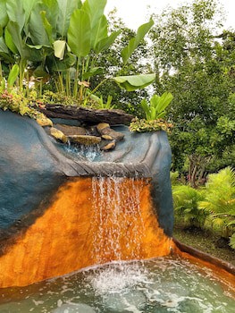 Hotel Heliconias Nature Inn & Hot Springs