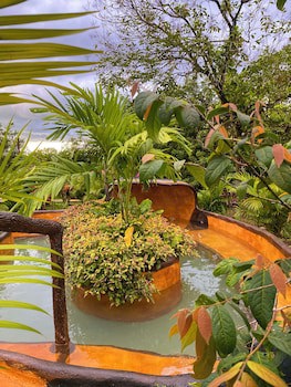 Hotel Heliconias Nature Inn & Hot Springs