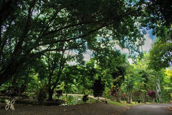 Hotel Heliconias Nature Inn & Hot Springs