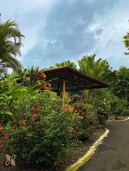 Hotel Heliconias Nature Inn & Hot Springs