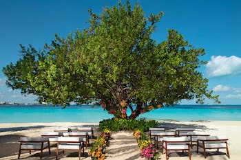 Dreams Sands Cancun Resort & Spa - All Inclusive