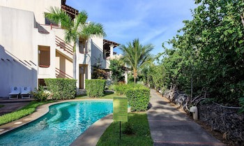 Tropical Gardens