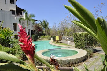 Tropical Gardens
