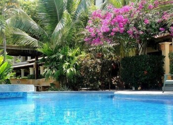 Tropical Gardens