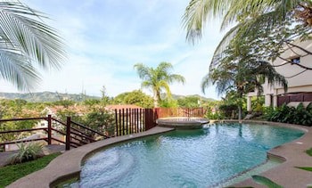 Tropical Gardens