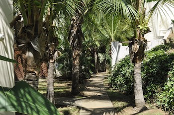 Tropical Gardens