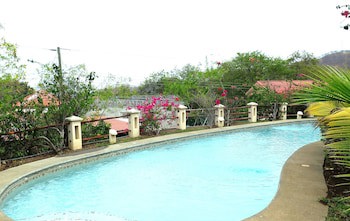 Tropical Gardens