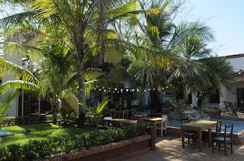 Tropical Gardens