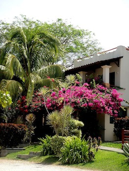 Tropical Gardens