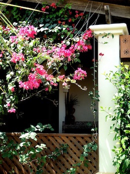 Tropical Gardens