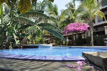 Tropical Gardens