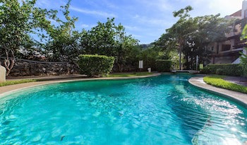 Tropical Gardens