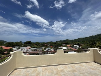 Tropical Gardens