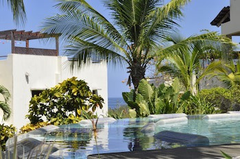 Tropical Gardens