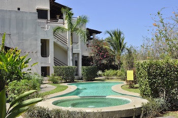 Tropical Gardens