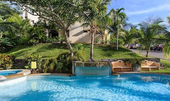 Tropical Gardens